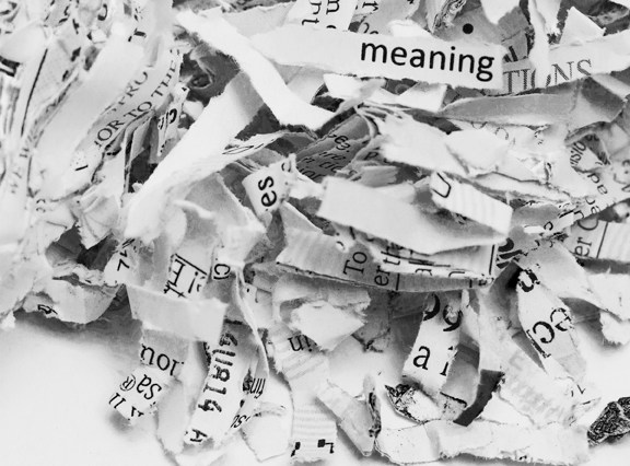 Chaos and Order - In Search of Meaning