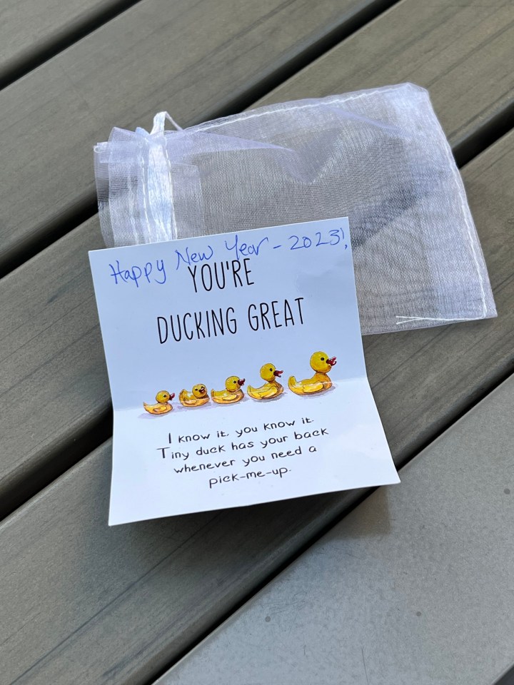 Found Duck
