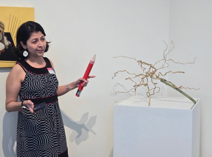 North Texas Giving Day