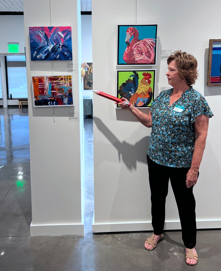 North Texas Giving Day