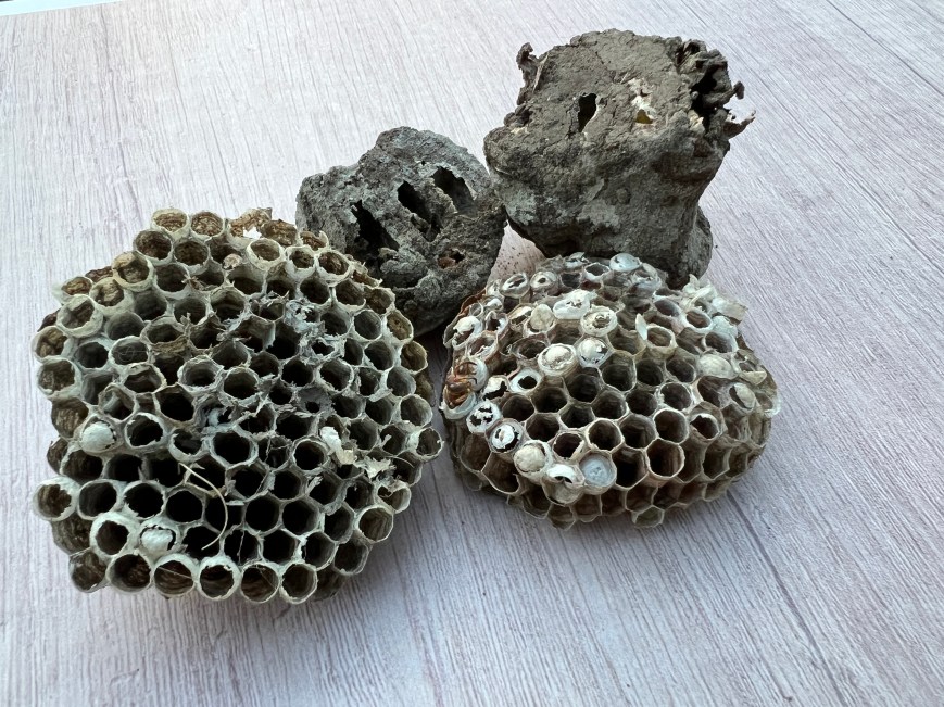 Dust the Outside of My House? I Don’t Even Dust the Inside!