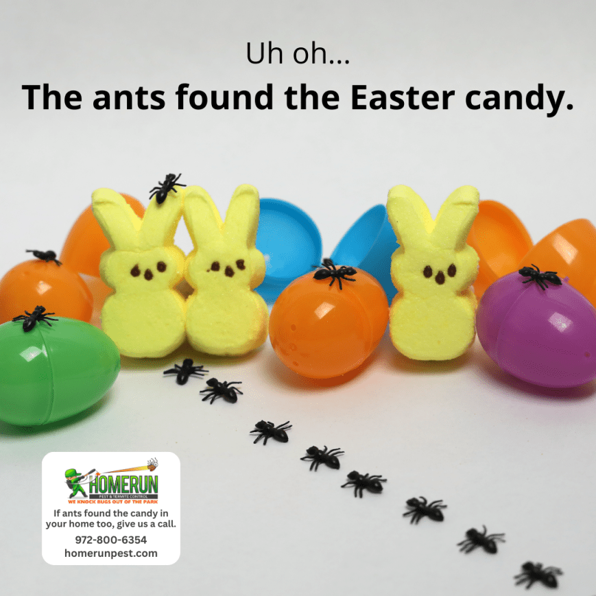 A Very Sticky Situation: Peeps Under Siege