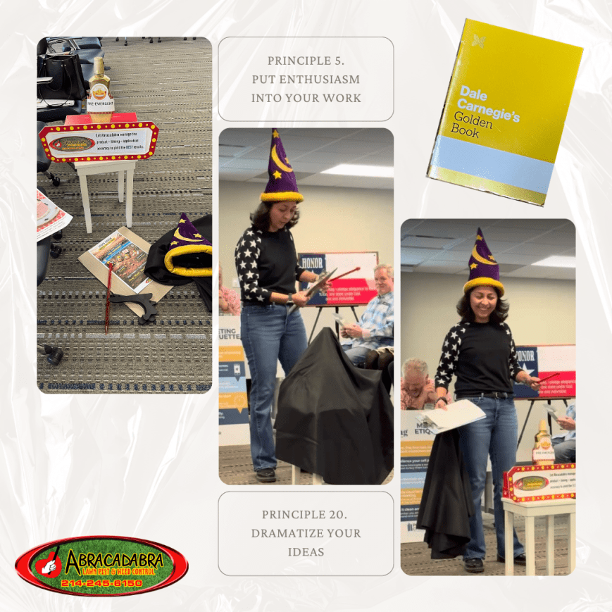 The Elevator Pitch That Required a Wizard Hat